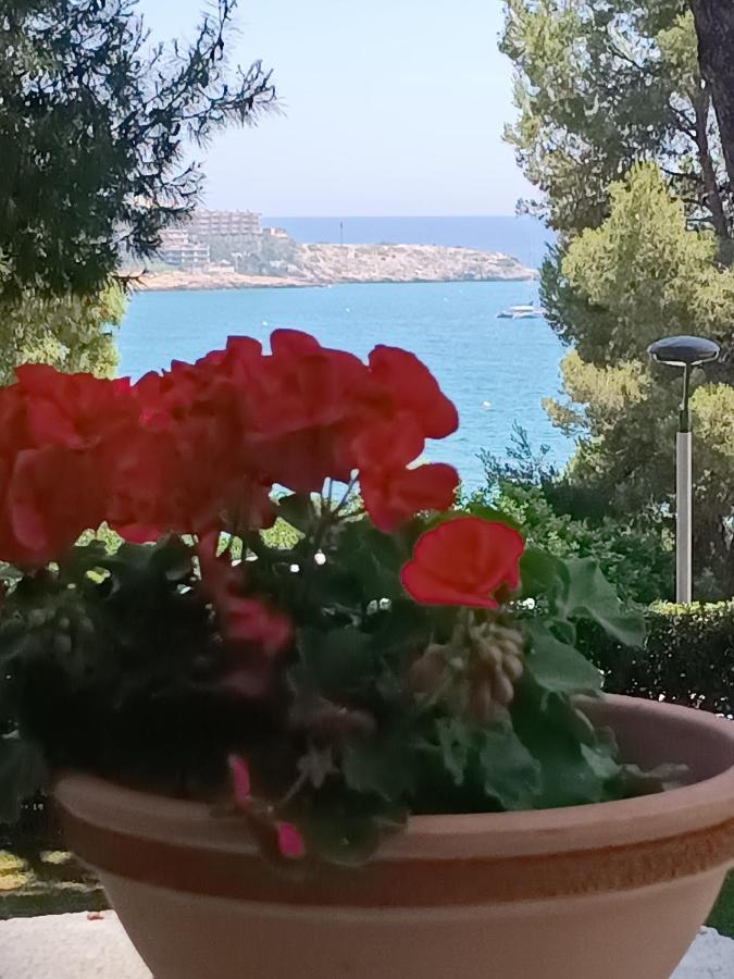 Beach & Flowers Free Parking Salou Eksteriør billede